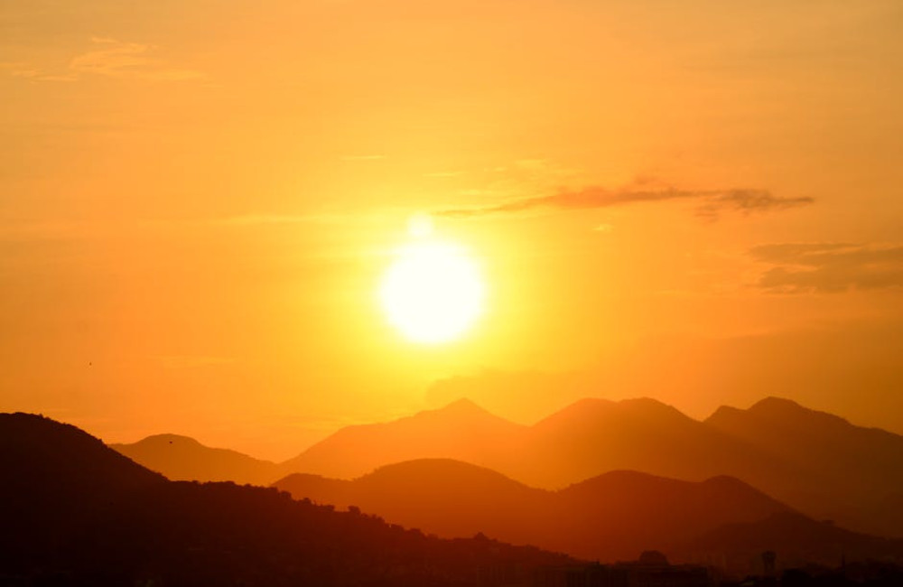 5 tips om ongedierte zomers buiten de deur te houden