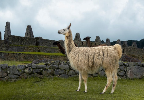 Waren de Inca's ook al bezig met het verzorgen van lichaam en geest?